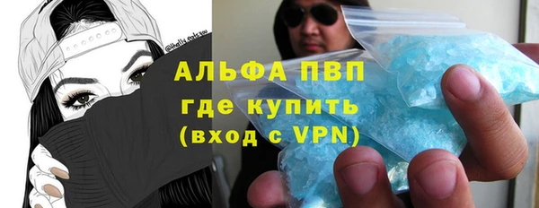 прущие грибы Бугульма