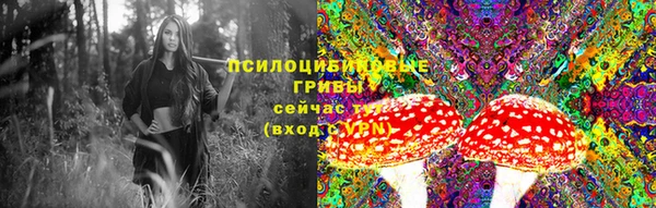 мет Богданович