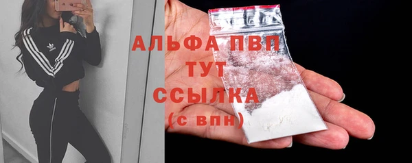 прущие грибы Бугульма