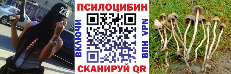 Псилоцибиновые грибы Psilocybine cubensis Верхний Уфалей